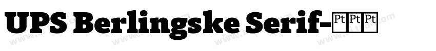 UPS Berlingske Serif字体转换